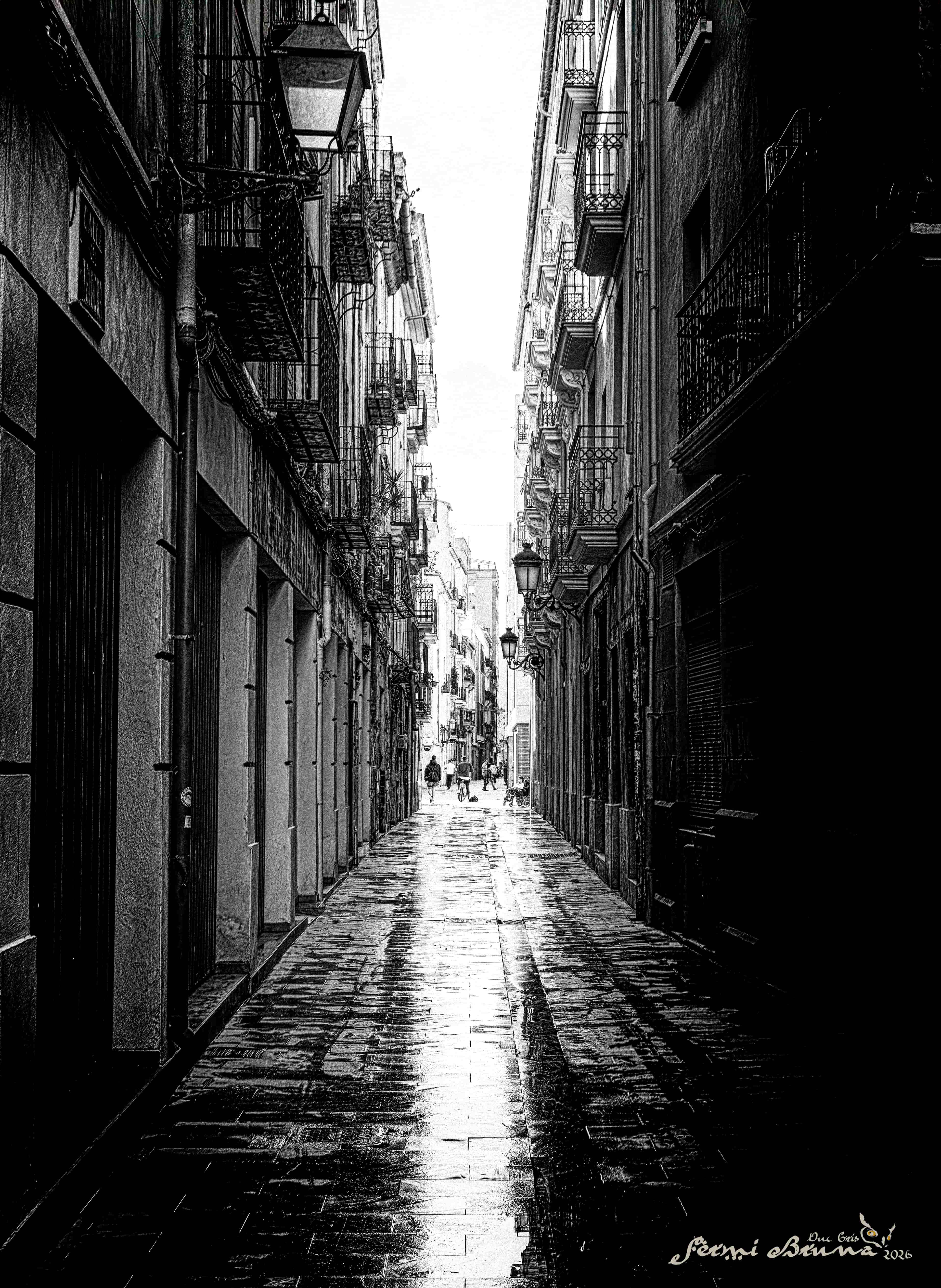 Carrer del Triador, València